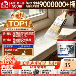 东方雨虹 雨虹防水 防水涂料 1KG