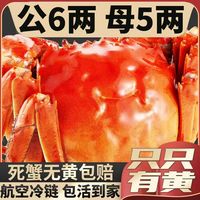 移动端：大闸蟹鲜活螃蟹礼盒旗舰店河蟹特大8只10只公全母阳澄湖镇发含绳