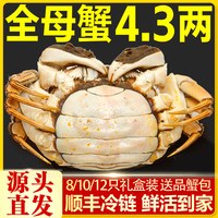 移动端：仲秋 [活蟹]特大10只大闸蟹鲜活螃蟹全母蟹官方旗舰店阳澄礼盒河蟹湖鲜