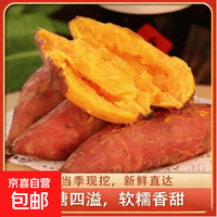 京喜加现挖沙地蜜薯红薯新鲜农家糖心番薯烤地瓜软糯龙九黄心 红薯2斤装小果