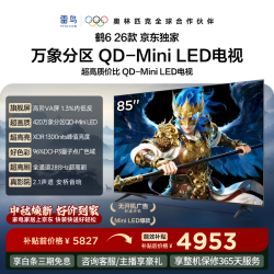 雷鸟 鹤6 26款 85R69A 液晶电视 85英寸