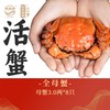 阳澄湖 大闸蟹 全母蟹 鲜活 礼盒装