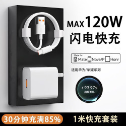 今胜 120W超级快充 超级快充套装+金标线  单Type-C口 线充套装 120W