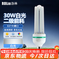 洛林 ROlin）LED灯泡大功率节能灯U型30W大口E27白光