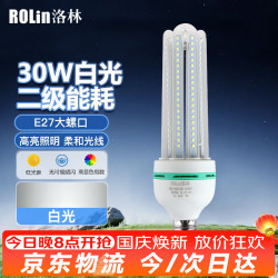 洛林 ROlin）LED灯泡大功率节能灯U型30W大口E27白光
