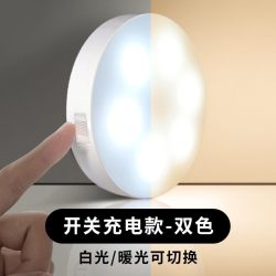 以典 【白暖双色切换带开关人体感应灯】