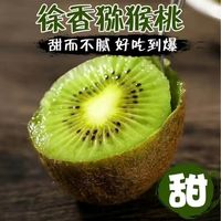 猕猴桃四人团