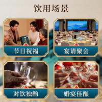 泸州老窖 泸州盛典单瓶浓香型2瓶白酒 过节送礼 自喝 商务 聚会 52度 500mL 2瓶