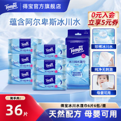 得宝 冰川水卫生湿巾纯净无刺激6片6包便携出行小包冰感湿纸巾SC