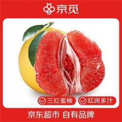 京觅 广东梅州红心蜜柚 2粒 4.5-5斤装 新鲜水果柚子源头直发