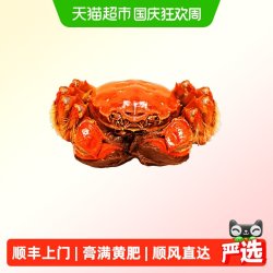 阳澄格调精品 全母蟹 2.8-3.1两 共8只礼盒装