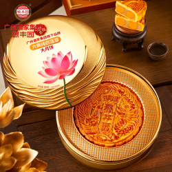 广州酒家 金腿五仁双黄白莲蓉月饼礼盒 600g