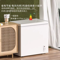 先科 家用小型一级能耗小冰柜，家用小型全冷冻箱双温直冷