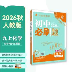 2027初中必刷题 化学九年级上册 人教版