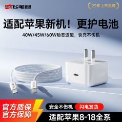 飞毛腿适用苹果18ProMax手机充电器60W苹果快充头线套装AVS动态充