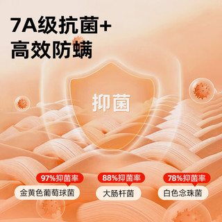 红豆 抗菌除螨双面绒德绒高领保暖打底衫 黑色 L