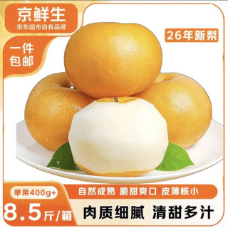 京鲜生 正宗山东莱阳秋月梨 净重8.5斤 单果400g+应季生鲜水果 源头直发