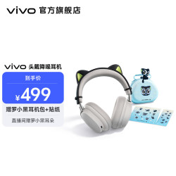 vivo 头戴降噪耳机 Hi-Res金标音质 主动降噪 云雾白