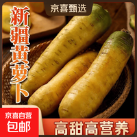 京喜 新鲜带泥黄萝卜胡萝卜手抓饭伴侣农家自种蔬菜真便宜超市京东包邮 1斤含箱