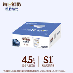 蒙牛 董洁推荐每日鲜酪希腊酸奶蓝莓100g*6杯 源头直发