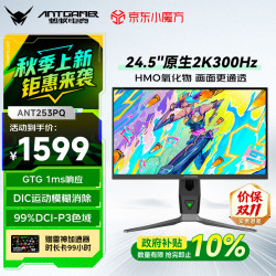 蚂蚁电竞 ANT253PQ 24.5英寸 IPS G-sync FreeSync 显示器（2560×1440、300Hz、99% DCI-P3、HDR400）