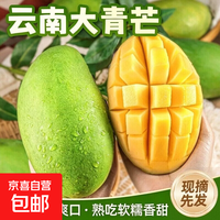 京喜 云南西双版纳新鲜大青芒甜心芒果水果大青芒生熟两吃2 带箱2斤净重1.6斤单果100g-300g