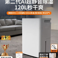 生活电器 除湿机 STS10-1027