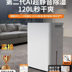 生活电器 除湿机 STS10-1027