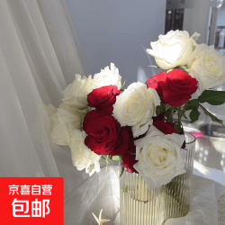京喜 云南基地直发玫瑰鲜花  红玫瑰10枝+白玫瑰10枝