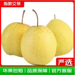 立始 河北雪花梨冰糖雪梨新鲜水果单果200g起（生吃偏硬,建议炖煮） 净重4.5斤-5斤(单果200g起)