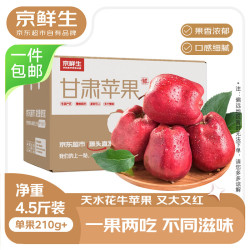 京鲜生 甘肃天水花牛苹果 3kg 单果230g起 粉面香甜 源头直发 净重4.5斤 单果230g+