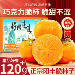 京地达 山西阳丰脆柿子巧克力脆柿子 净重5斤单果120g新鲜水果源头直发