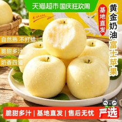于甄鲜 正宗山东黄金奶油富士苹果脆甜多汁营养水果整箱送礼
