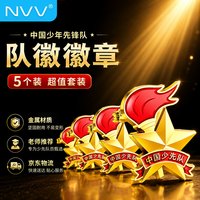 NVV 标准款队徽校徽小学生别针立体款火炬队徽 少先队徽别针扣5个装NR-DH-5