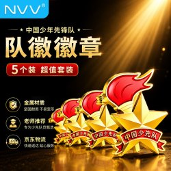 NVV 标准款队徽校徽小学生别针立体款火炬队徽 少先队徽别针扣5个装NR-DH-5