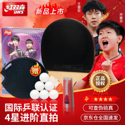 红双喜 乒乓球拍四星级直拍H4006反胶单拍附拍包+乒乓球
