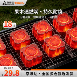 尚烤佳 烧烤炭 木炭 速燃烧烤碳 球形烧烤炭 火锅炭 环保无烟木碳 户外烧烤炉燃料 2斤