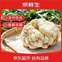京鲜生 云南龙牙百合净重1斤 新鲜食用百合粉糯 新鲜蔬菜 源头直发包邮