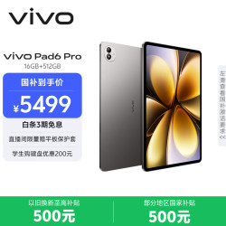 vivo Pad6 Pro 13.2英寸 平板电脑（第五代骁龙8 至尊版、16GB、512GB、WiFi版、自在灰）