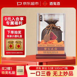 酒鬼 紫坛贰拾 柔和 52%vol 馥郁香型白酒 500ml 单瓶装