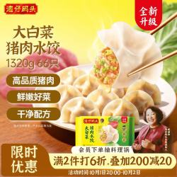 湾仔码头 大白菜猪肉水饺 1.32kg