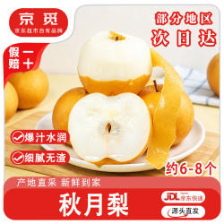 京觅 山东烟台莱阳秋月梨 单果300g+ 4.5斤