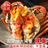 移动端：陈鲜生 活蟹阳澄湖大闸蟹3两全母蟹螃蟹大闸蟹礼盒鲜活水产官方旗舰店