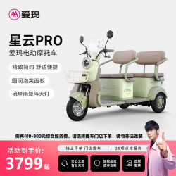 爱玛 星云pro电动三轮车小型一体接送孩子老年人代步 到店选色提车