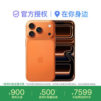 苹果 iPhone 17 Pro 5G手机