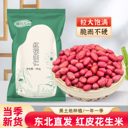 穗田几亩东北红衣生花生米 红花生仁200g*1袋
