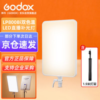 神牛 LP800Bi双色温LED补光灯轻薄便携桌面补光灯直播摄影视婚庆拍摄柔光常亮灯