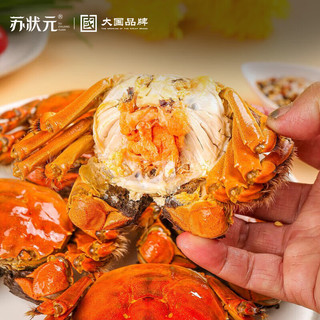 苏状元 鲜活大闸蟹 全母蟹3.0-3.3两10只