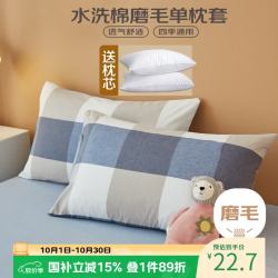 AVIVI 水洗棉枕套枕头组合装 110g 简兮格