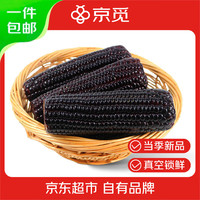 京觅 东北黄糯玉米260g